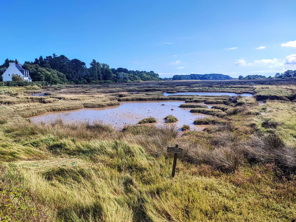 Radtour
Vorbei an Sümpfen zum Hafen von La Trinite-sur-Mer
Schlüsselwörter: 2024