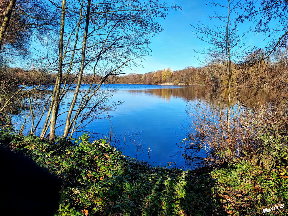 Blick auf den Reuschenberger See
Schlüsselwörter: 2024