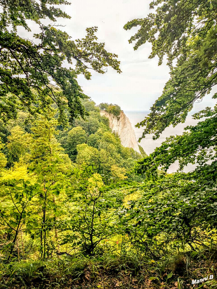 Nationalpark Jasmund
Königsstuhl mit Skywalk
