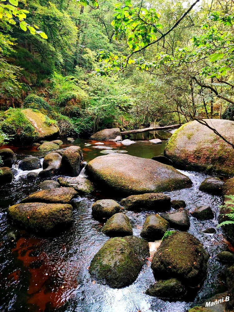 Wanderung
zum "La Mare aux Feen"
Schlüsselwörter: 2024