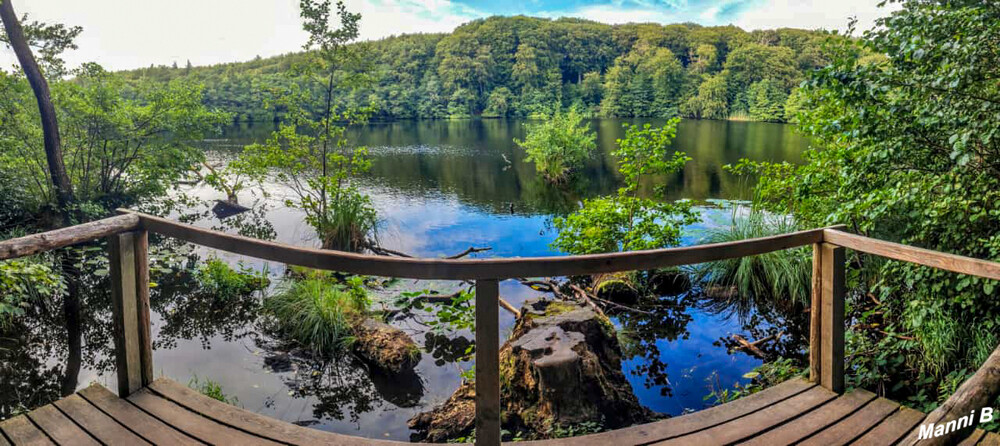 Nationalpark Jasmund
Panorama
Schlüsselwörter: 2024