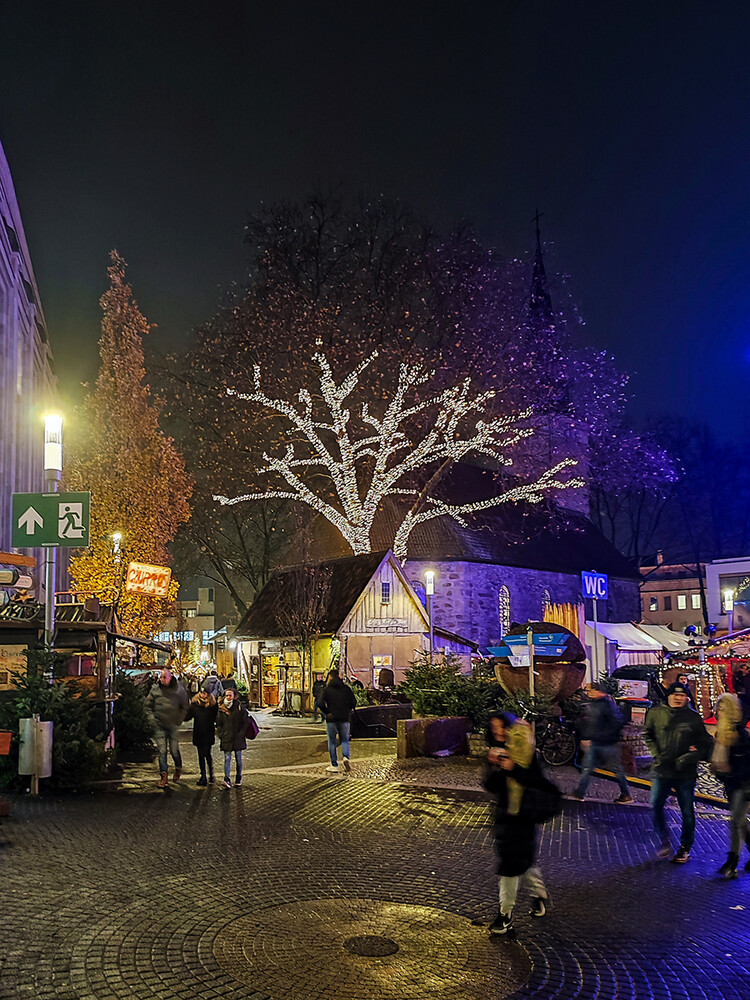 Licht in der Dunkelheit "Lichterbaum"
Manni
Schlüsselwörter: 2022