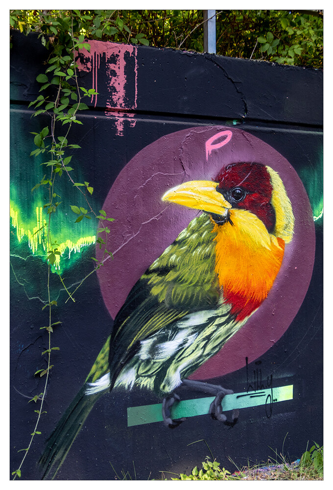 Graffiti "Bunter Vogel"
Marianne
Schlüsselwörter: 2022