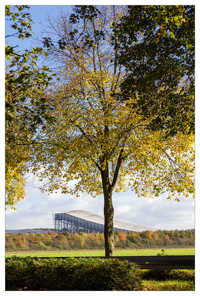 Herbstlicher Baum, Wald  "Die Blätter fallen "
Marianne
Schlüsselwörter: 2024