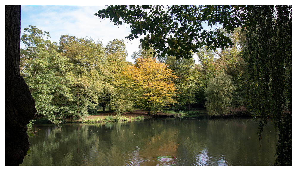 Herbstlicher Baum, Wald  „Rübergeschaut“
Marianne
Schlüsselwörter: 2024