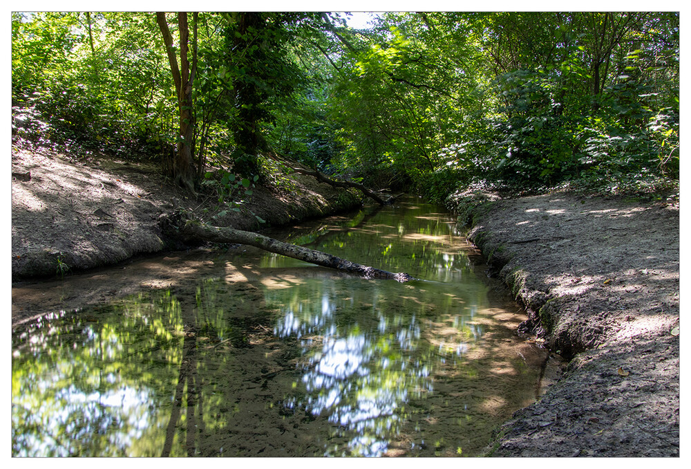 Rund um Bach, Fluss, Kanal und See "Bachlauf"
Marianne
Schlüsselwörter: 2024