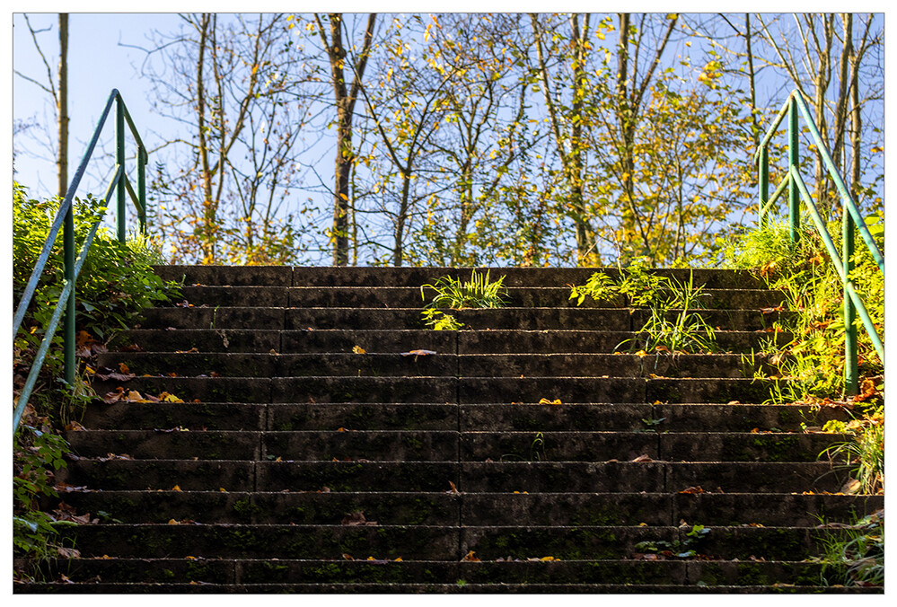 Treppen "Treppenaufgang"
Marianne
Schlüsselwörter: 2024