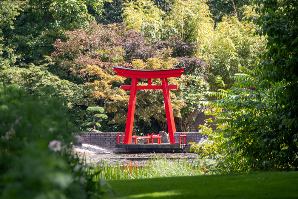 Arcen - Japanisches Tor (Torii)
Marianne
Schlüsselwörter: 2024