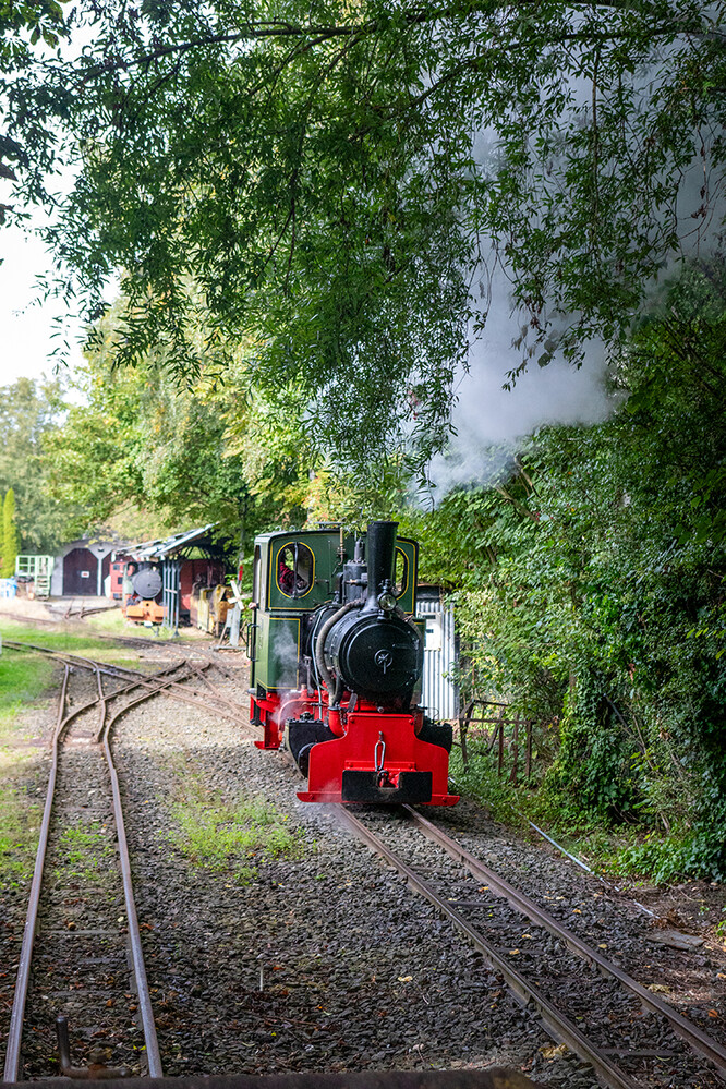 Feldbahnmuseum Oekoven - Die kleine Dampflok
Marianne
Schlüsselwörter: 2024