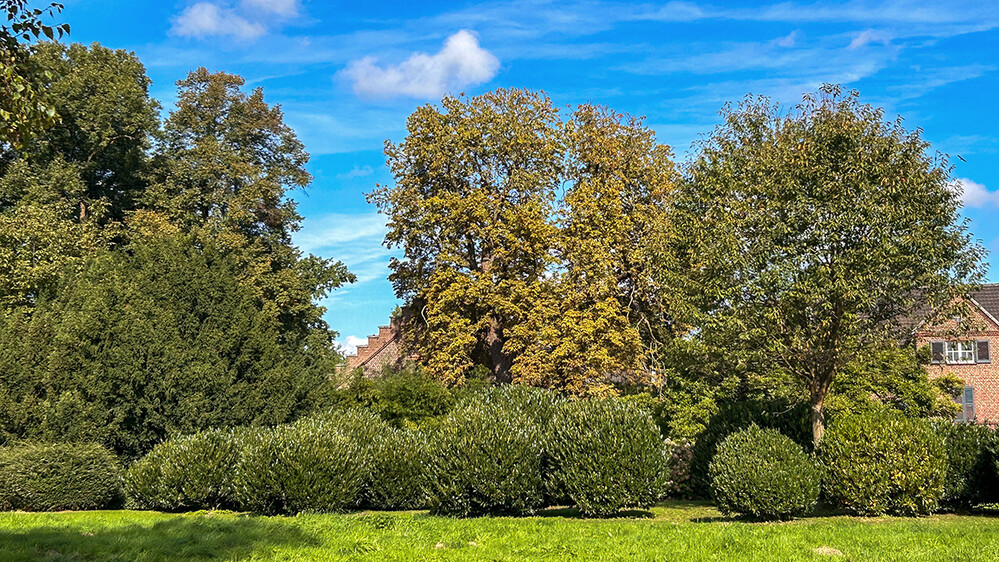 Herbstlicher Baum, Wald "Der Herbst legt los"
Marianne
Schlüsselwörter: 2024