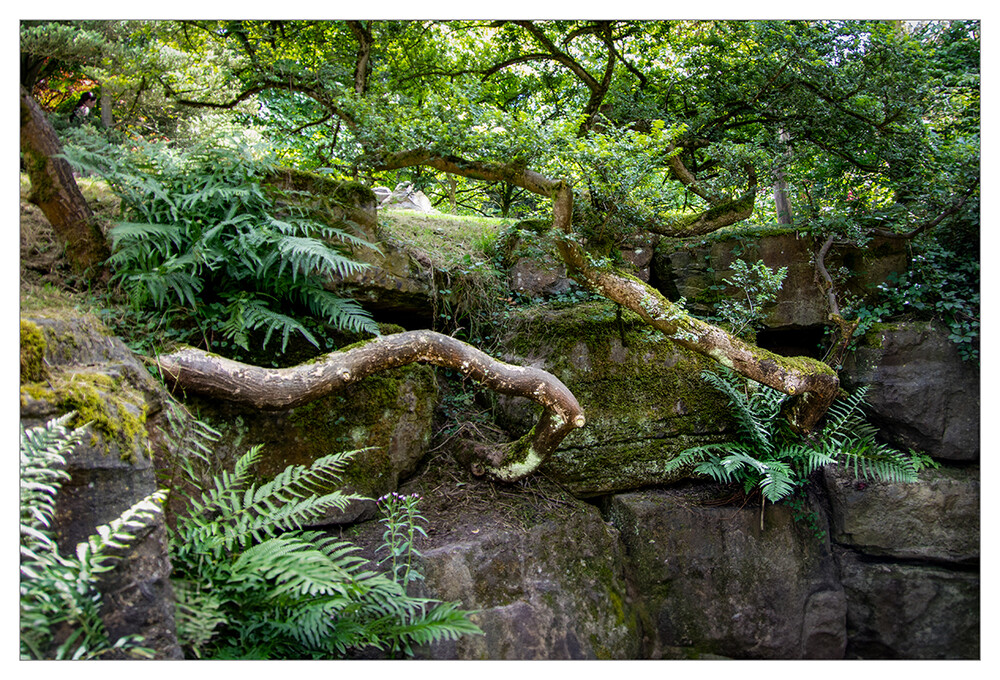 Naturfotografie "Die Natur findet einen Weg"
Marianne
Schlüsselwörter: 2024