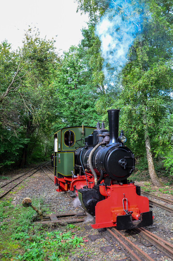 Feldbahnmuseum Oekoven - Dampflok
Perla
Schlüsselwörter: 2024