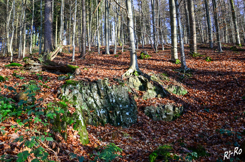 Waldwanderung
die Sauerland-Waldroute verfügt über viele eigens konzipierte Rundwanderwege. Ob leichte Halbtagestour oder anspruchsvolle Tageswanderung, hier ist für jeden die passende Rundtour dabei. (sauerland-waldroute)
Schlüsselwörter: 2024