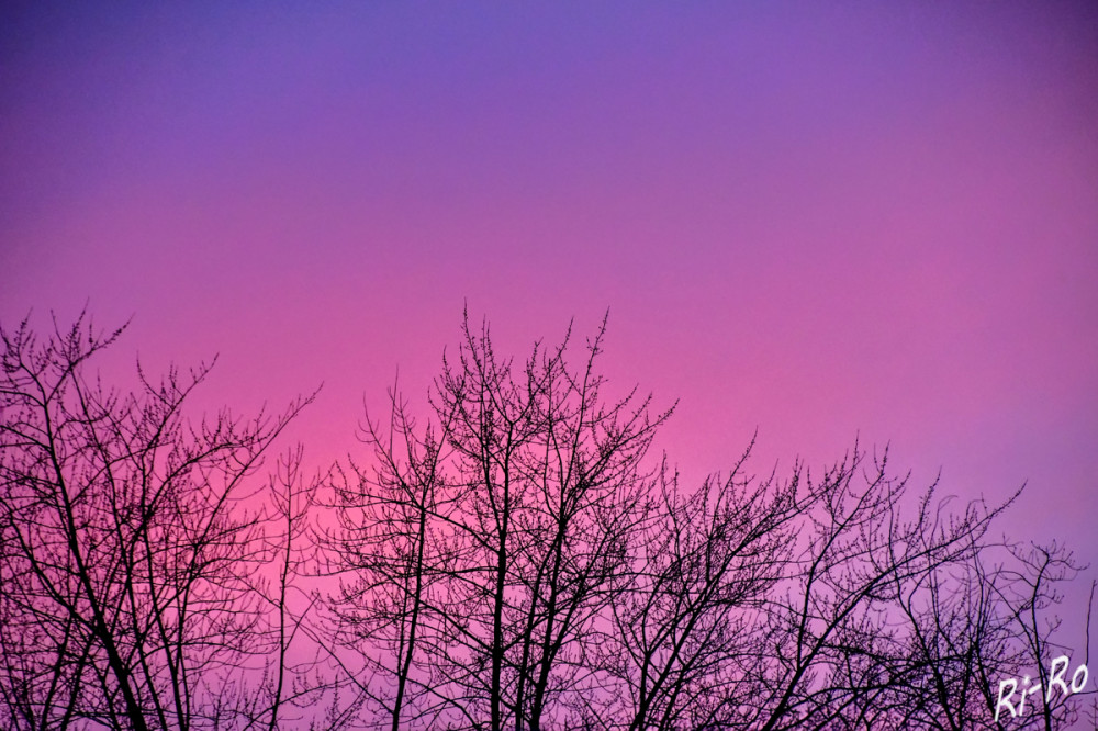 Januarhimmel
Die untergehende Sonne taucht den Himmel in ein sattes Rot oder Orange, manchmal auch in Purpur u. Lila. (wetteronline)
Schlüsselwörter: 2025