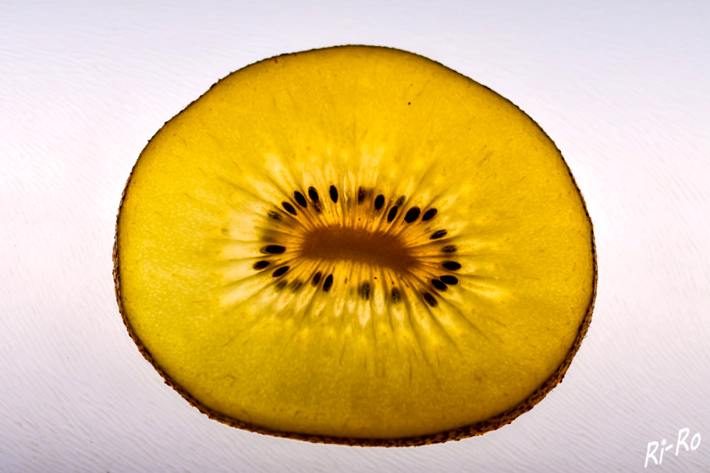 Kiwi Gold
Die exotische Frucht mit grünem, gelbem oder rotem Fruchtfleisch fand ihren Weg erst im frühen 20. Jahrhundert nach Neuseeland. Es sind etwa 60 Arten bekannt. Längst hat die Kiwi auch hierzulande einen festen Platz im Garten erobert. (freiburger-nachrichten)
Schlüsselwörter: 2025