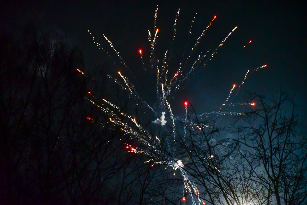 Frei "Feuerwerk"
Roland
Schlüsselwörter: 2025