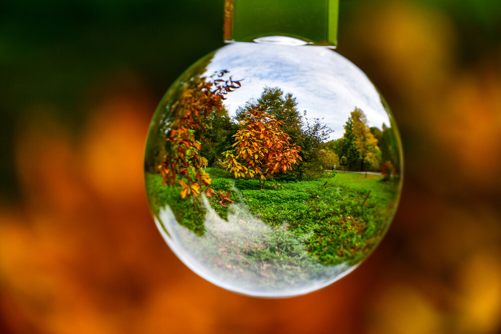 Herbstlicher Baum, Wald  "Walnussbaum "
Roland
Schlüsselwörter: 2024