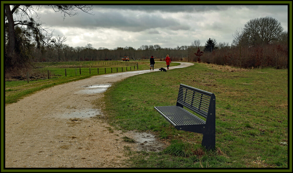 Februarfoto "Spazierweg"
Elise
Schlüsselwörter: 2022