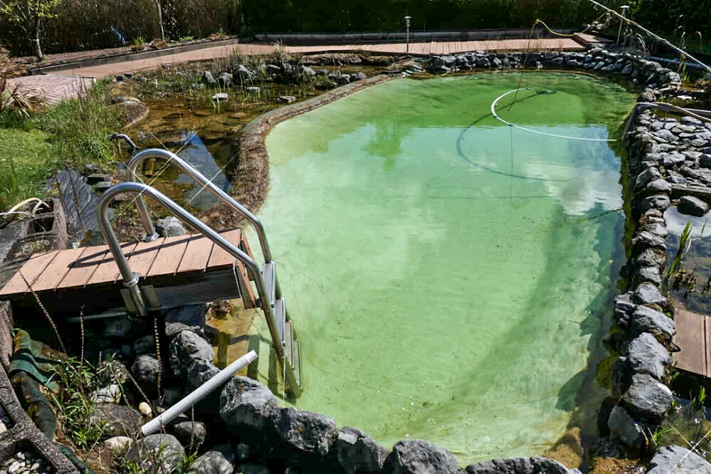 Spiegelung " Am Teich"
Manni
Schlüsselwörter: 2021