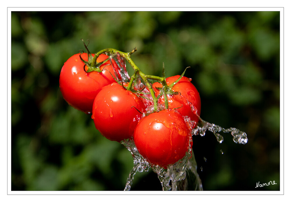 Badespaß
Tomaten 
Schlüsselwörter: 2024