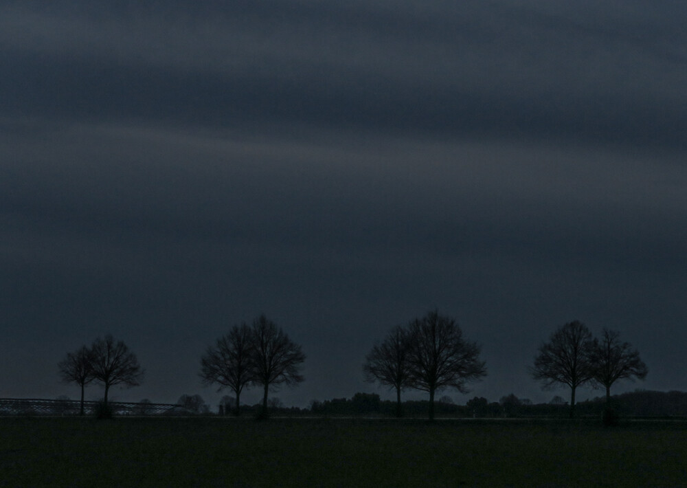 Dämmerungs,-Nachtfotografie "Baumsilhouette"
Verena
Schlüsselwörter: 2023