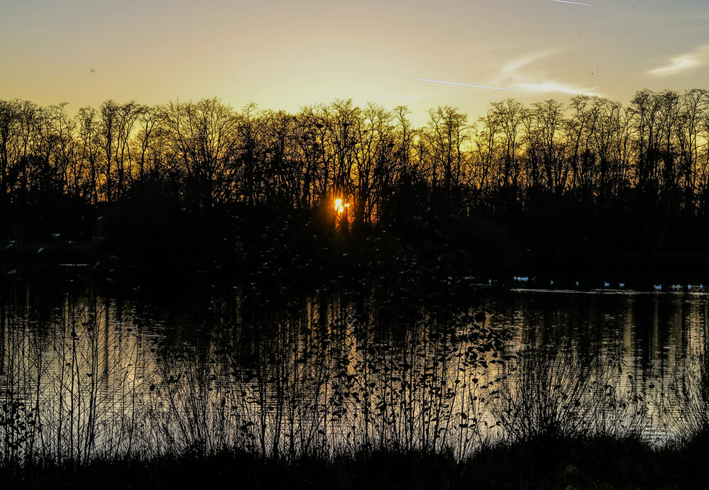 Dämmerungs,-Nachtaufnahme "Sonnenuntergang"
Verena
Schlüsselwörter: 2023