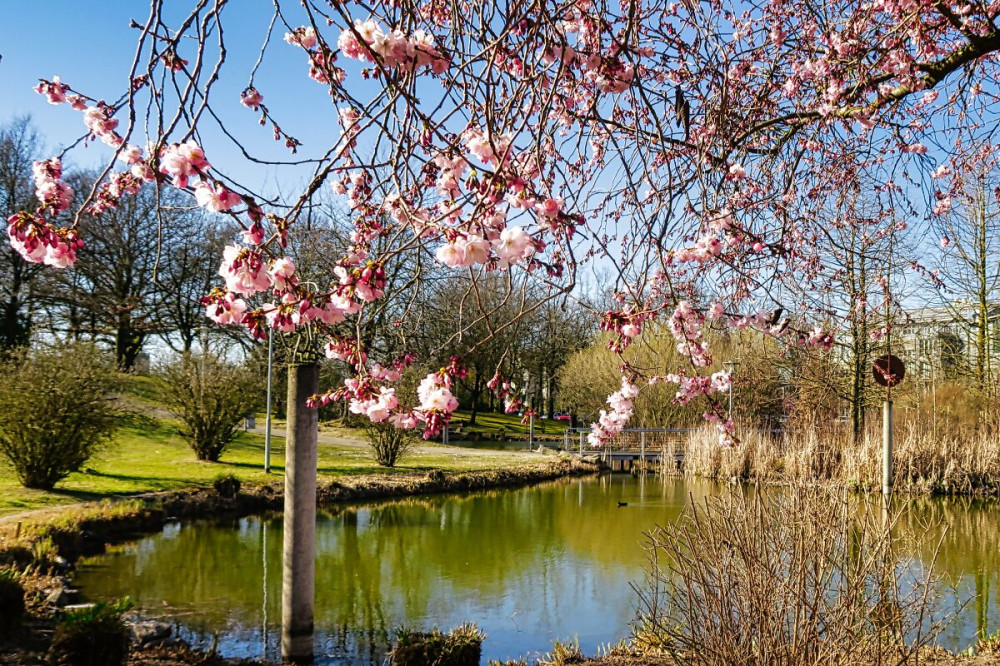 Alles im Park "Stadtpark Kaarst"
Verena
Schlüsselwörter: 2025