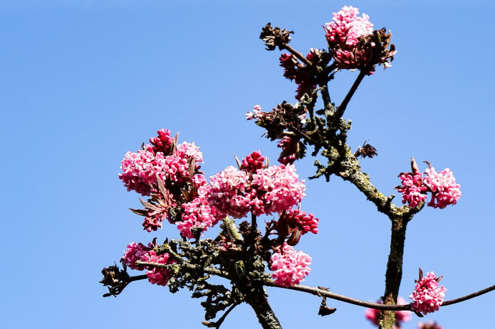 Fotowalk Düsseldorf Südpark "Ziemlich knorrig"
Verena
Schlüsselwörter: 2025