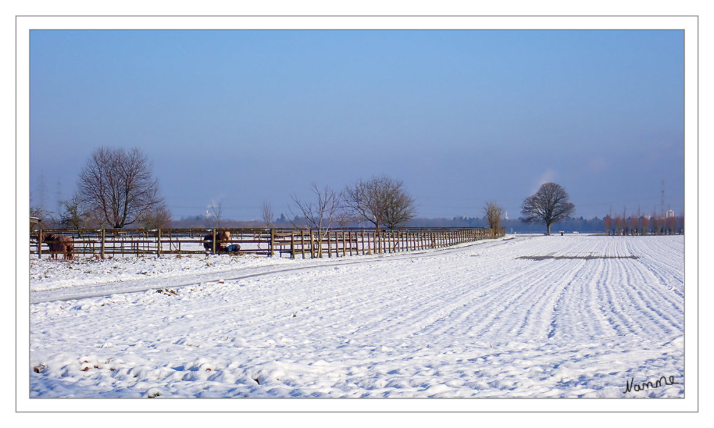 Winterlandschaft 
Der Winter hält ein kurzes Intermezzo
Schlüsselwörter: 2025