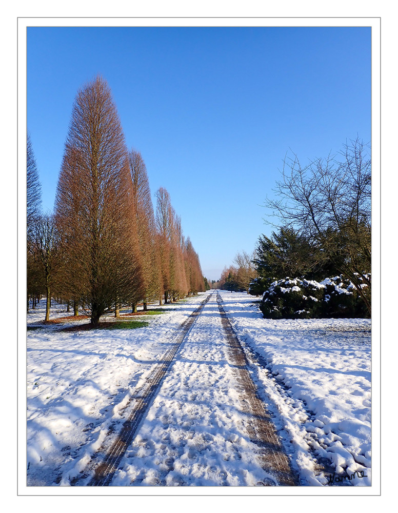 Winterlandschaft
Der Winter hält ein kurzes Intermezzo 
Im Licht der Sonne taut es.
Schlüsselwörter: 2025