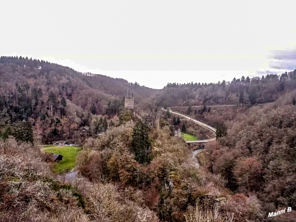 Auf dem Weg zur Niederburg
Nahe der Eifelstadt Manderscheid befinden sich die Ruinen zweier Burgen, deren Geschichte und Lage zueinander den mittelalterlichen Interessenkonflikt zwischen dem Kurfürstentum Trier und dem Herzogtum Luxemburg widerspiegeln. laut Wikipedia
Schlüsselwörter: Eifel