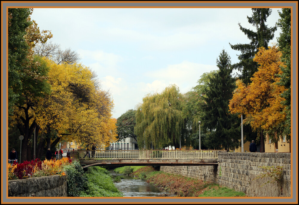 Herbstllich "a´Dieu Eger"
Elise
Schlüsselwörter: 2021