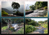 20_09_Periyar-Nationalpark_Wasserlauf_Collage_01.jpg