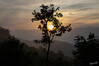 20_09__Periyar-Nationalpark_Morgens_03.jpg