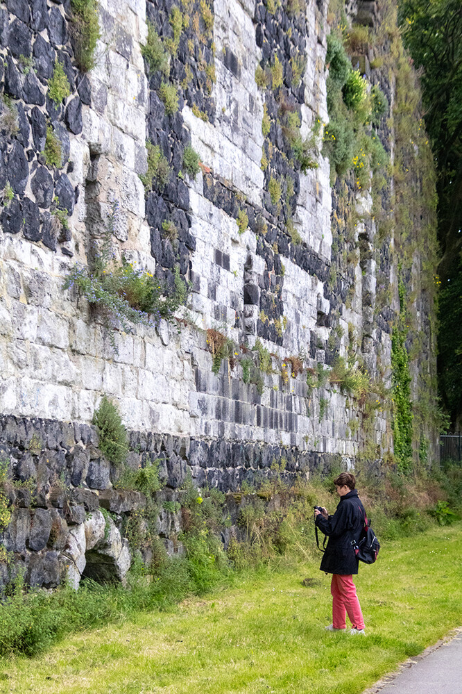 Kaiserswerth Aussenmauer an der Kaiserpfalz
Marianne
Schlüsselwörter: 2024