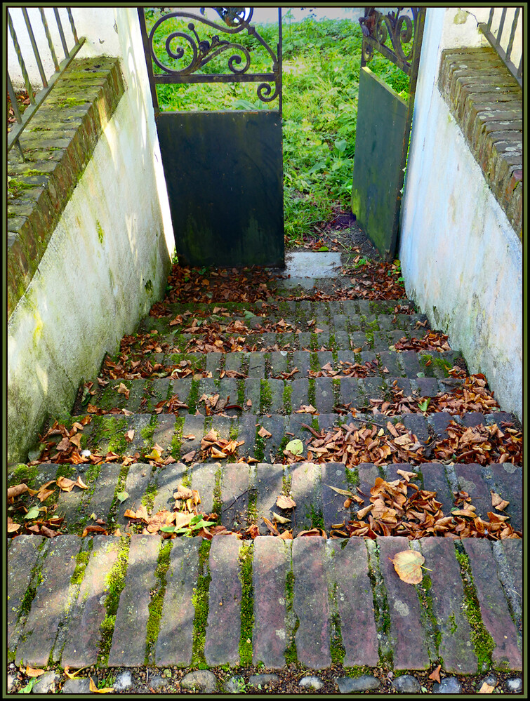 Treppen "Hinab"
Elise
Schlüsselwörter: 2024