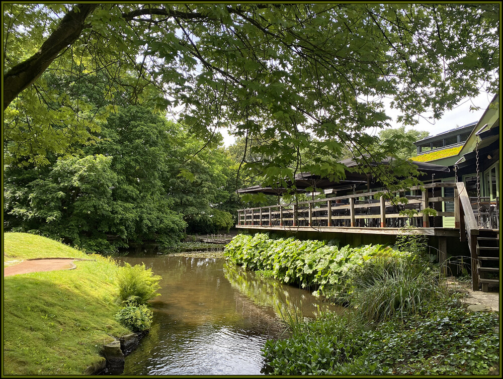 Naturaufnahmen "Parkdetail"
Elise
Schlüsselwörter: 2024