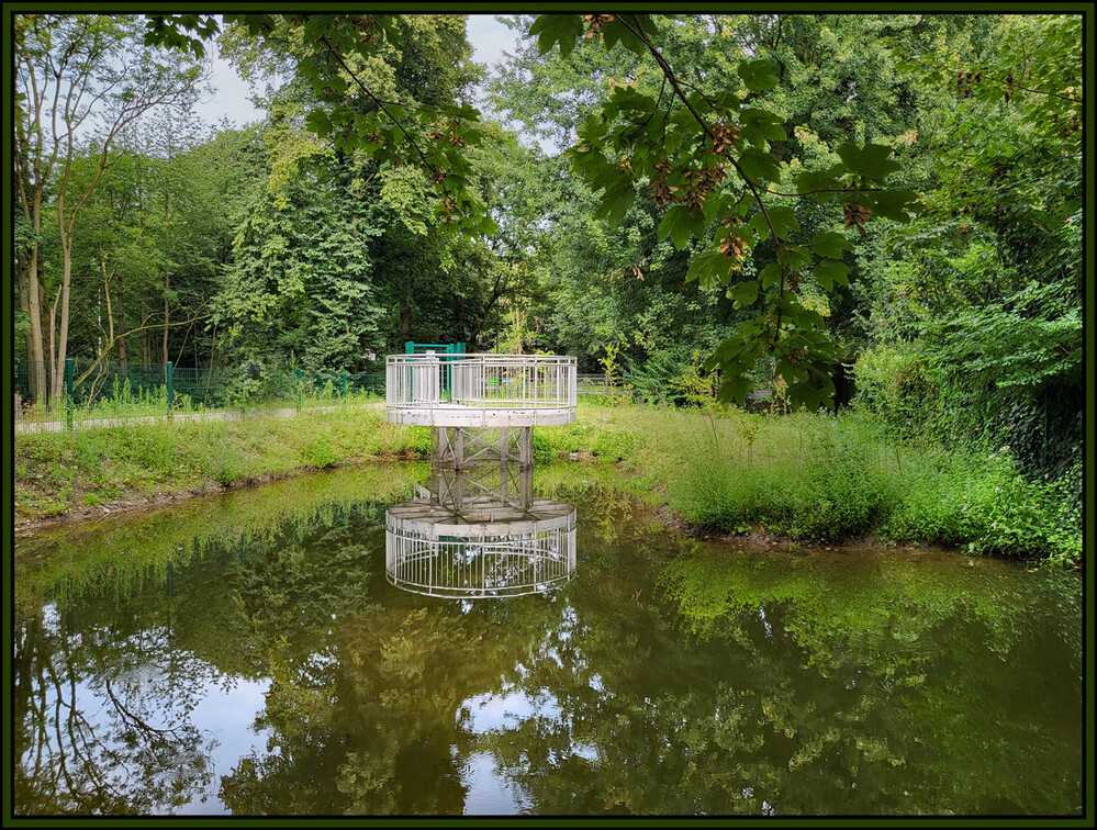 Rund um Bach, Fluss, Kanal und See "Teich mit kleiner Wasseraufbereitungsanlage"
Elise
Schlüsselwörter: 2024