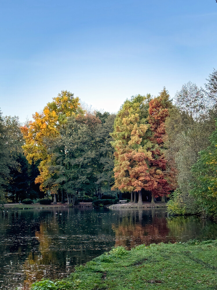 Herbstlicher Baum, Wald "Am See"
Gerd
Schlüsselwörter: 2024