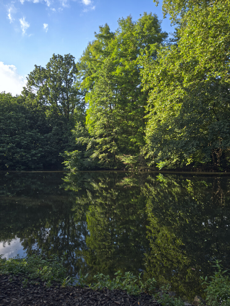 Naturaufnahmen "Grün"
Gerd
Schlüsselwörter: 2024