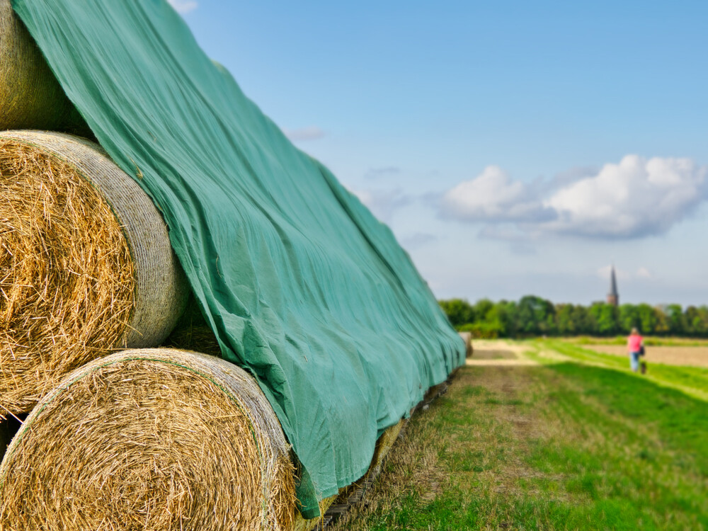 Herbstliche Stillleben "Nach der Ernte"
Gerd
Schlüsselwörter: 2023