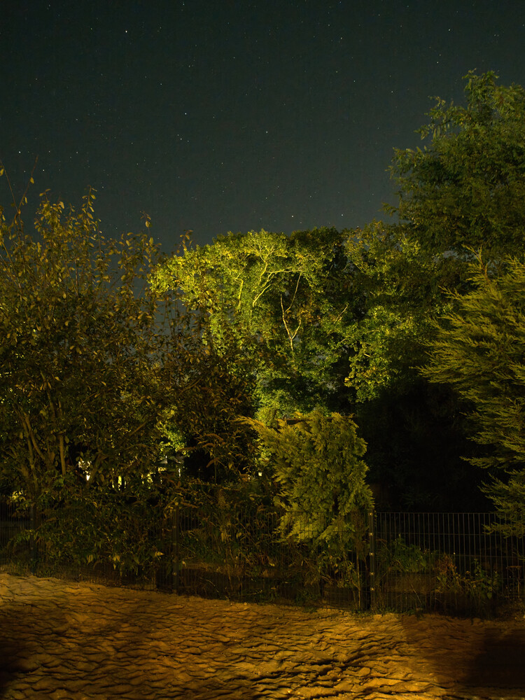 Herbstlicher Baum, Wald "Nachtstimmung"
Gerd
Schlüsselwörter: 2024