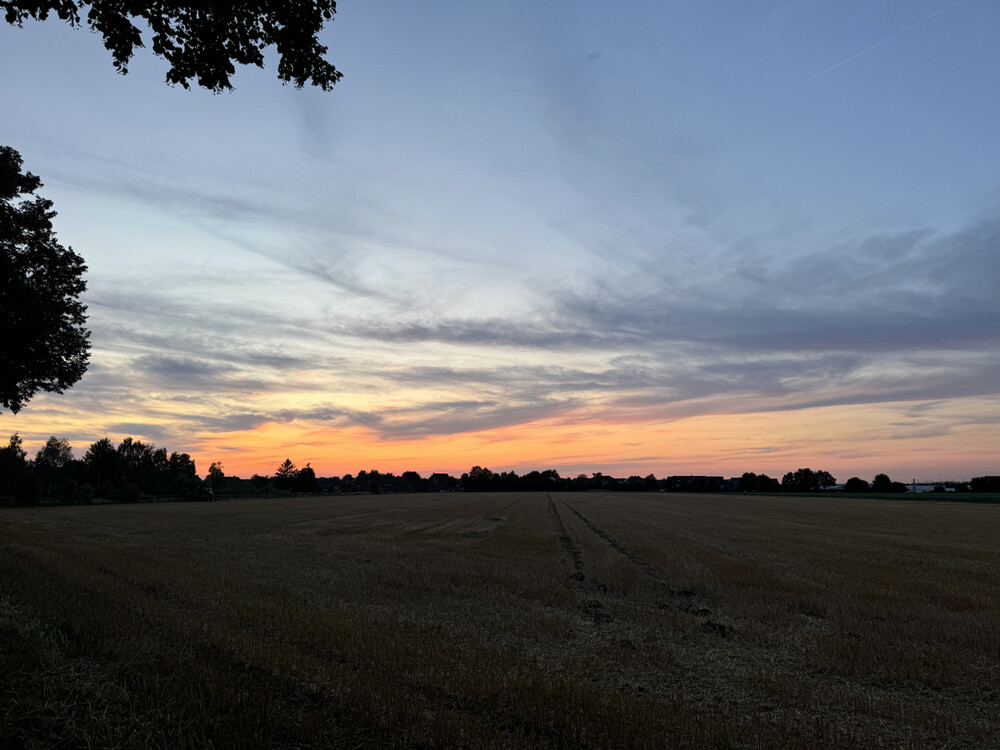 Naturaufnahmen "Sonnenuntergang über dem Schwalbenweg"
Gerd
Schlüsselwörter: 2024