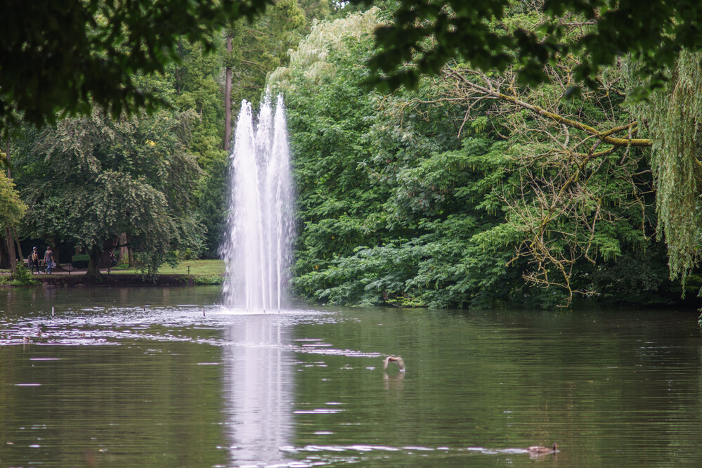 Teleaufnahmen "Wasserspiel"
Gerd
Schlüsselwörter: 2023