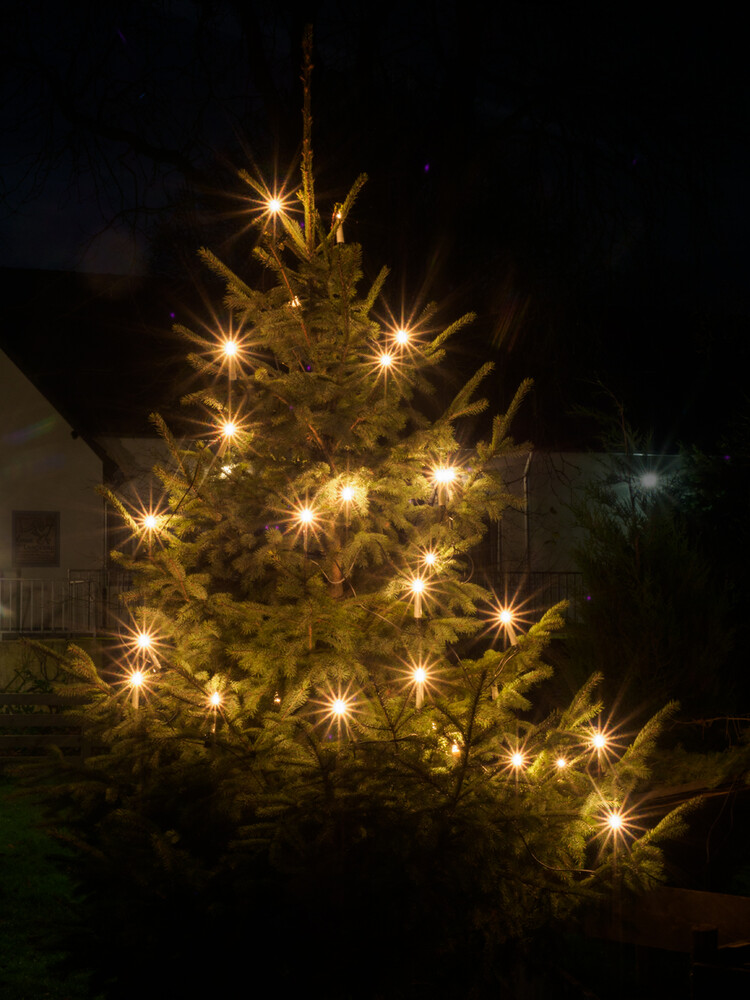 Dezemberfotos "Weihnachtlich geschmücktes Nadelgewächs"
Gerd
Schlüsselwörter: 2021