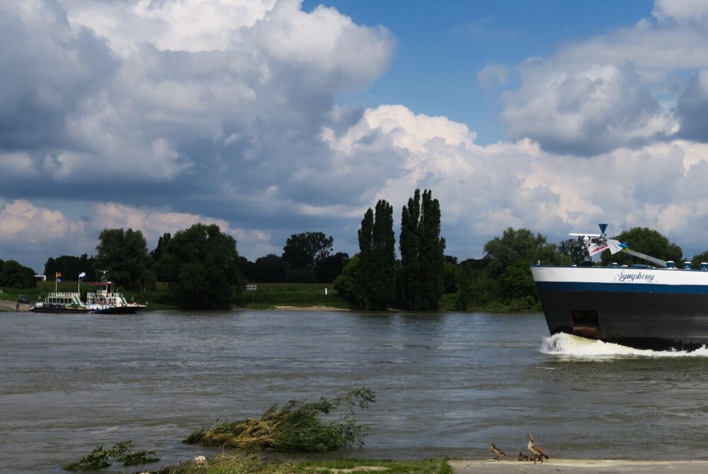 Kaiserswerth
Verena
Schlüsselwörter: 2024