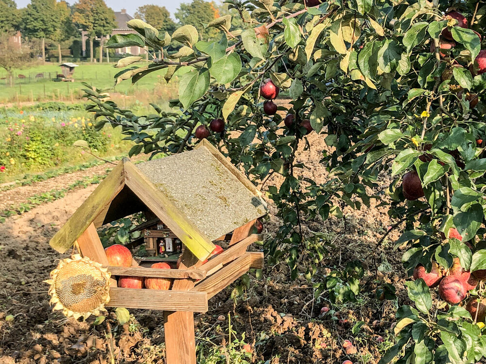 Herbstlich "Wetterhäuschen"
Karl-Heinz
Schlüsselwörter: 2021