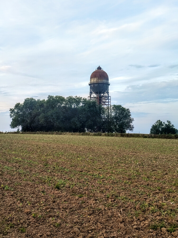 Herbstliches Stillleben "Lanstroper Ei"
Manni
Schlüsselwörter: 2023