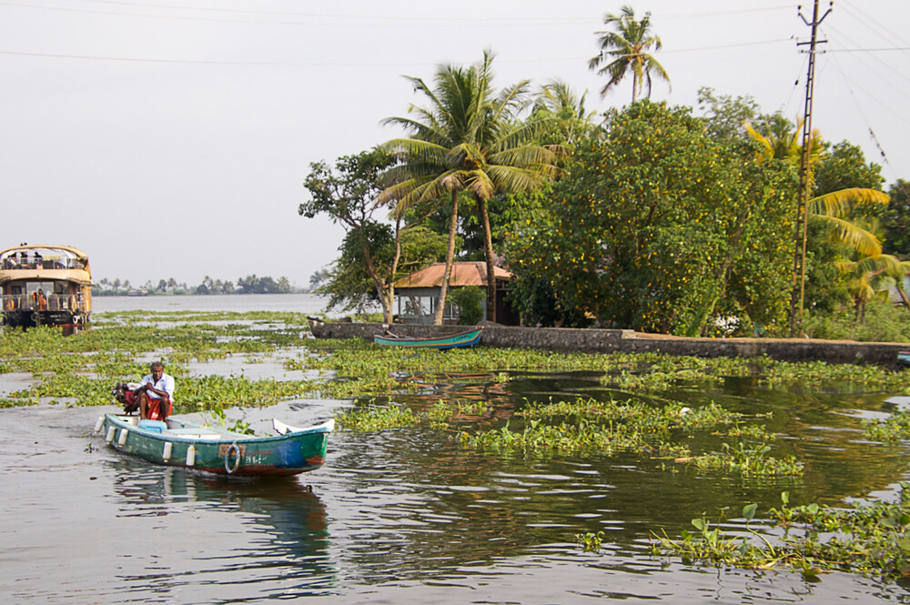 Rund um Bach, Fluss, Kanal und See "mit dem Hausboot auf den Backwaters"
Marianne
Schlüsselwörter: 2024