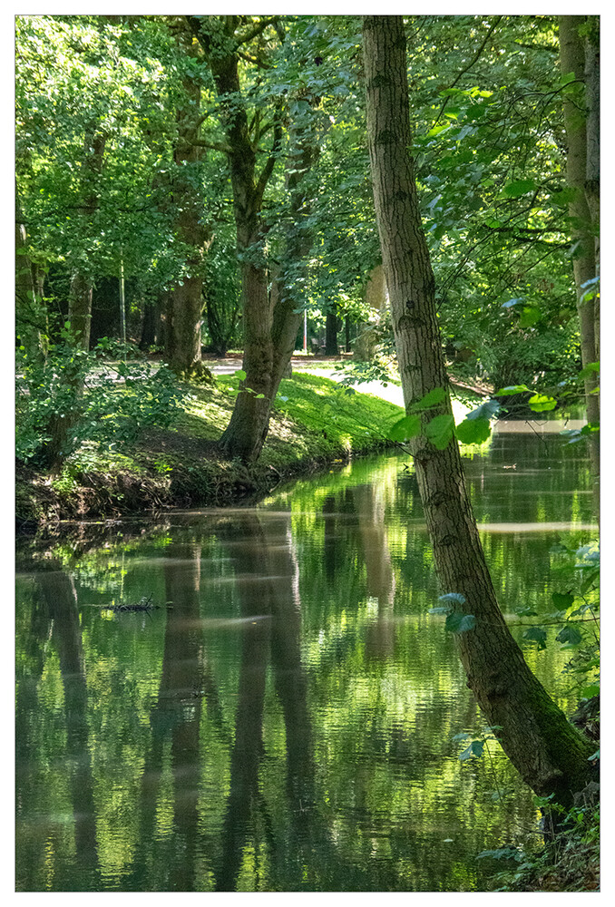 Rund um Bach, Fluss, Kanal und See "Bachlauf"
Marianne
Schlüsselwörter: 2024